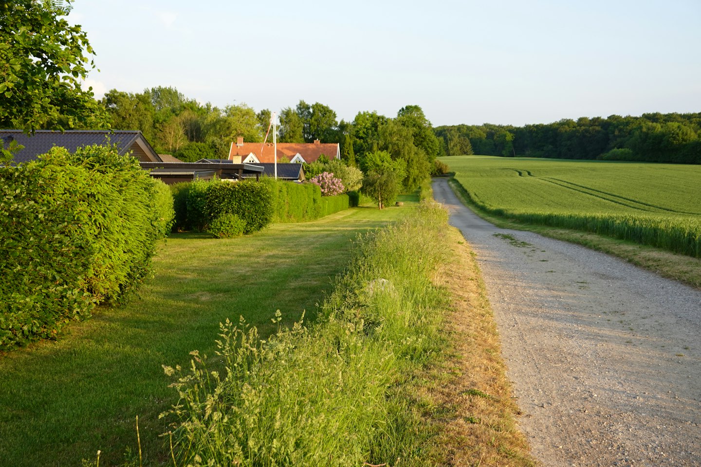 A gravel road curves past rural houses and green fields.
